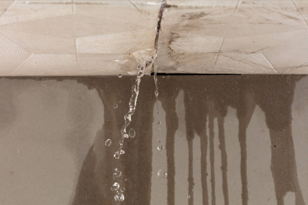 Professional Water Extraction technician working in Clinton Township, MI